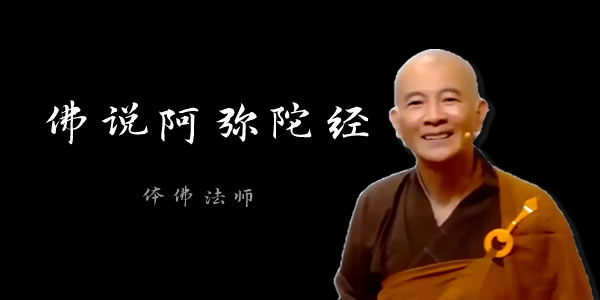 体佛法师讲《佛说阿弥陀经》在线视频全集