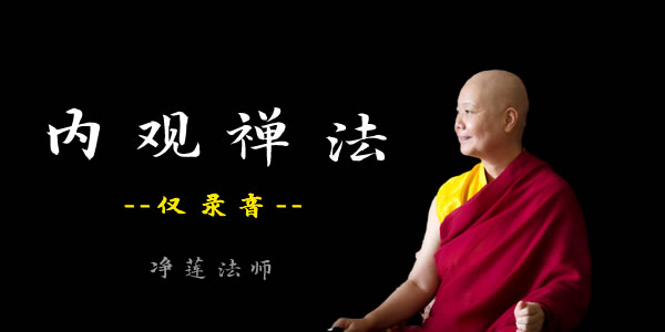 净莲法师讲《内观禅法》视频全集讲法视频合集